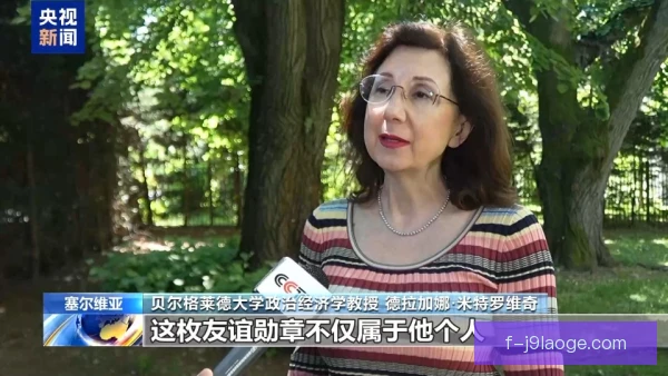 米特罗维奇谈战术角色与留洋经历 中锋的价值不止于进球